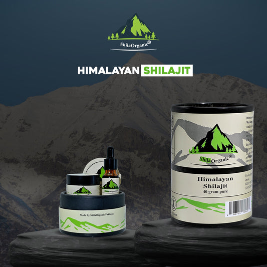 What Is Himalayan Shilajit? The Natural Super Supplement Backed by Science