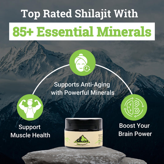 Benefits of Himalayan Shilajit
