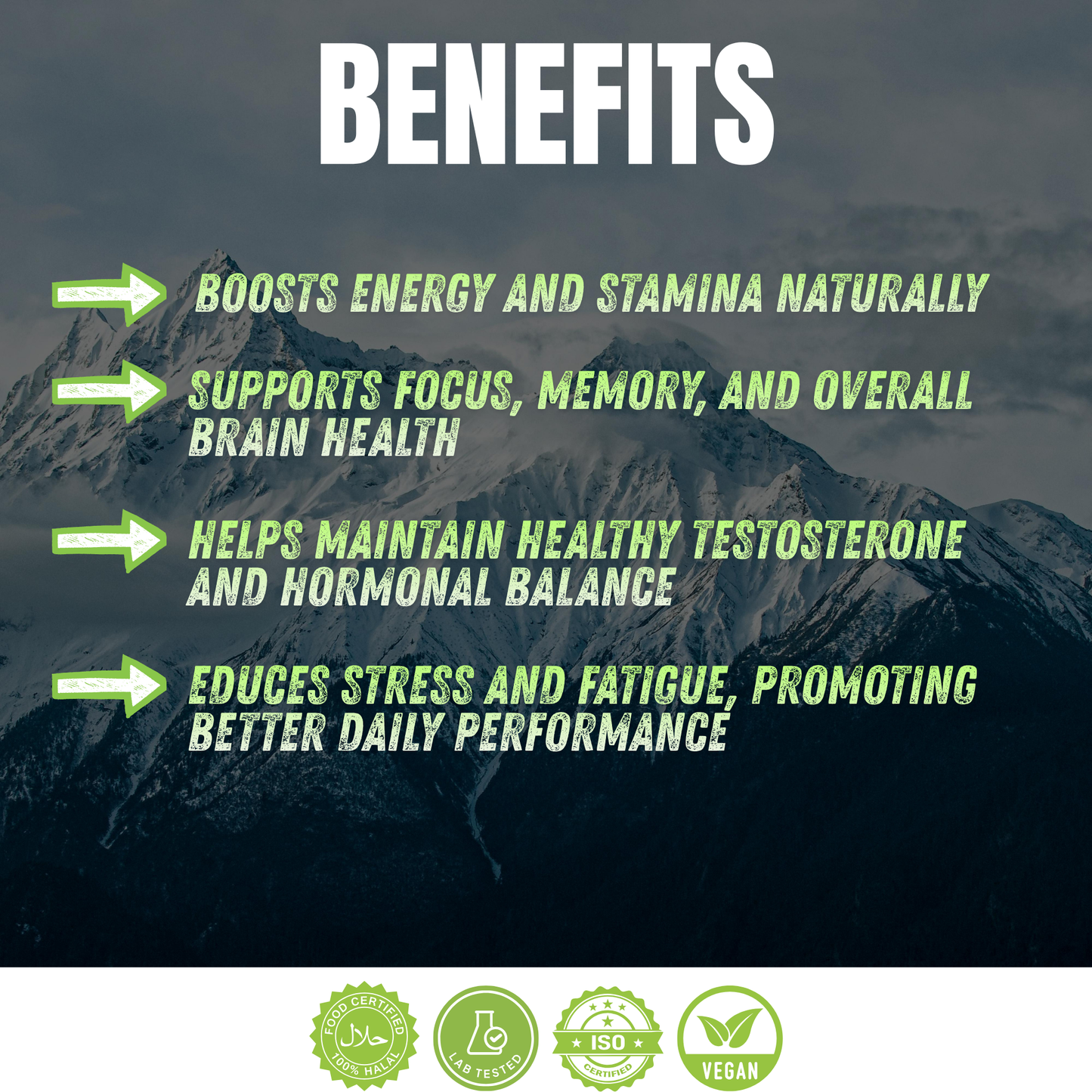 ShilaOrganic Shilajit Gummies